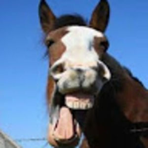 Meet your Posher, Trenton